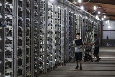 A large mining farm with rows of GPU mining rigs.
